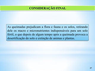 As queimadas prejudicam a flora e fauna e os solos, retirando
dele os macro e micronutrientes indispensáveis para um solo
fértil, o que depois de algum tempo após a queimada provoca a
desertificação do solo e extinção de animas e plantas.
27
CONSIDERAÇÃO FINAL
 