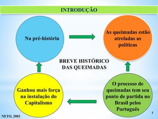 INTRODUÇÃO
3
NETO, 2002
BREVE HISTÓRICO
DAS QUEIMADAS
Na pré-história
As queimadas estão
atreladas as
políticas
Ganhou mais força
na instalação do
Capitalismo
O processo de
queimadas tem seu
ponto de partida no
Brasil pelos
Português
 