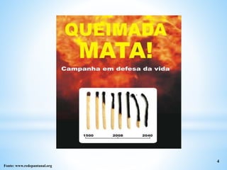 4
Fonte: www.redepantanal.org
 