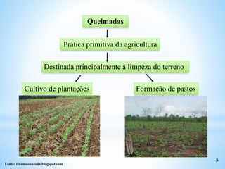Queimadas
5
Fonte: tinamaonaroda.blogspot.com
Prática primitiva da agricultura
Destinada principalmente à limpeza do terreno
Cultivo de plantações Formação de pastos
 
