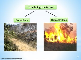 Uso do fogo de forma
6
DescontroladoControlada
Fonte: tinamaonaroda.blogspot.com
 