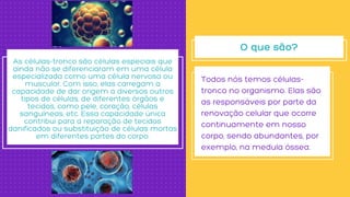 Todos nós temos células-
tronco no organismo. Elas são
as responsáveis por parte da
renovação celular que ocorre
continuamente em nosso
corpo, sendo abundantes, por
exemplo, na medula óssea.


As células-tronco são células especiais que
ainda não se diferenciaram em uma célula
especializada como uma célula nervosa ou
muscular. Com isso, elas carregam a
capacidade de dar origem a diversos outros
tipos de células, de diferentes órgãos e
tecidos, como pele, coração, células
sanguíneas, etc. Essa capacidade única
contribui para a reparação de tecidos
danificados ou substituição de células mortas
em diferentes partes do corpo.
O que são?
 