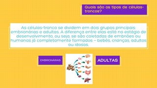 EMBRIONÁRIAS ADULTAS
Quais são os tipos de células-
troncos?


As células-tronco se dividem em dois grupos principais:
embrionárias e adultas. A diferença entre elas está no estágio de
desenvolvimento, ou seja, se são coletadas de embriões ou
humanos já completamente formados — bebês, crianças, adultos
ou idosos.
 