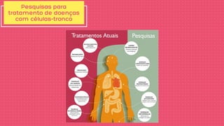 Pesquisas para
tratamento de doenças
com células-tronco
 
