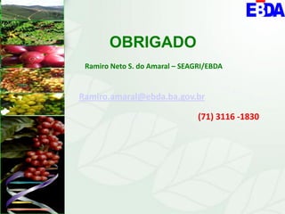 OBRIGADO
 Ramiro Neto S. do Amaral – SEAGRI/EBDA


Ramiro.amaral@ebda.ba.gov.br

                                (71) 3116 -1830
 