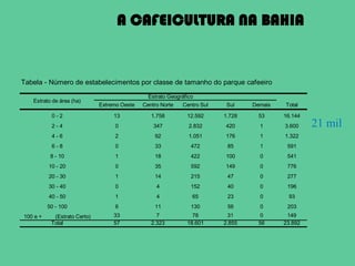 A CAFEICULTURA NA BAHIA


Tabela - Número de estabelecimentos por classe de tamanho do parque cafeeiro

                                                Estrato Geográfico
   Estrato de área (ha)
                              Extremo Oeste   Centro Norte   Centro Sul    Sul    Demais   Total

           0-2                     13            1.758         12.592     1.728     53     16.144
           2-4                     0              347           2.832     420       1      3.600    21 mil
           4-6                     2              92            1.051     176       1      1.322
           6-8                     0              33             472       85       1       591
           8 - 10                  1              18             422      100       0       541
          10 - 20                  0              35             592      149       0       776
          20 - 30                  1              14             215       47       0       277
          30 - 40                  0               4             152       40       0       196
          40 - 50                  1               4             65        23       0       93
          50 - 100                 6              11             130       56       0       203
100 e +     (Estrato Certo)        33              7             78        31       0       149
           Total                   57            2.323         18.601     2.855     56     23.892
 
