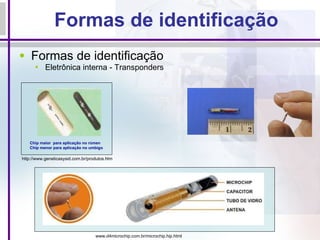 Formas de identificação Formas de identificação Eletrônica interna - Transponders http://www.geneticasysid.com.br/produtos.htm Chip maior  para aplicação no rúmen  Chip menor para aplicação no umbigo www.d4microchip.com.br/microchip.hip.html 