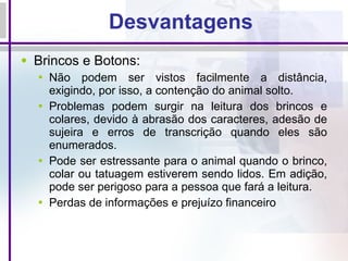 Desvantagens Brincos e Botons: Não podem ser vistos facilmente a distância, exigindo, por isso, a contenção do animal solto. Problemas podem surgir na leitura dos brincos e colares, devido à abrasão dos caracteres, adesão de sujeira e erros de transcrição quando eles são enumerados.  Pode ser estressante para o animal quando o brinco, colar ou tatuagem estiverem sendo lidos. Em adição, pode ser perigoso para a pessoa que fará a leitura. Perdas de informações e prejuízo financeiro 