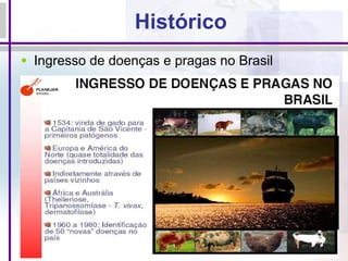 Histórico Ingresso de doenças e pragas no Brasil 