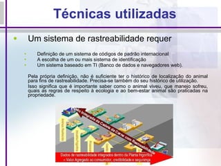 Técnicas utilizadas Um sistema de rastreabilidade requer Definição de um sistema de códigos de padrão internacional A escolha de um ou mais sistema de identificação  Um sistema baseado em TI (Banco de dados e navegadores web). Pela própria definição, não é suficiente ter o histórico de localização do animal para fins de rastreabilidade. Precisa-se também do seu histórico de utilização. Isso significa que é importante saber como o animal viveu, que manejo sofreu, quais as regras de respeito à ecologia e ao bem-estar animal são praticadas na propriedade. 