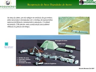 Ricardo Menezes Out 2007 
Recuperação de Áreas DDeeggrraaddaaddaass ddoo AAtteerrrroo 
As áreas do aterro, que não estejam em produção de gás metano, 
serão escavadas e processadas com o emprego de equipamentos 
especiais de trituração, peneiramento e separação. O material 
recuperado, CDR primário, será acondicionado para posterior 
utilização na geração de energia. 
Clic a r botã o pa ra 
filme ilus tra tivo 
 
