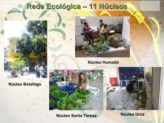 Rede Ecológica – 11 NúcleosRede Ecológica – 11 Núcleos
Núcleo Santa Teresa
Núcleo Botafogo
Núcleo Humaitá
Núcleo Urca
 