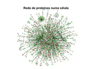 Rede de proteínas numa célula 
