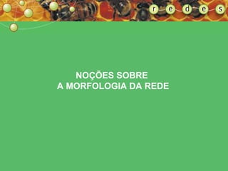 NOÇÕES SOBRE  A MORFOLOGIA DA REDE 