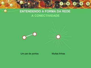 Um par de pontos Muitas linhas ENTENDENDO A FORMA DA REDE  A CONECTIVIDADE 