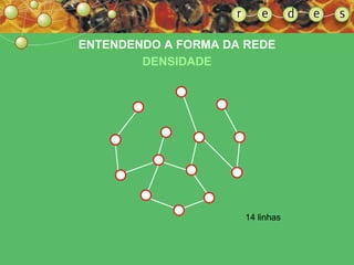 ENTENDENDO A FORMA DA REDE DENSIDADE 14 linhas 
