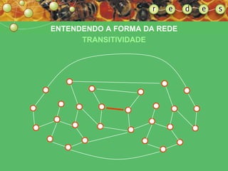 ENTENDENDO A FORMA DA REDE TRANSITIVIDADE 