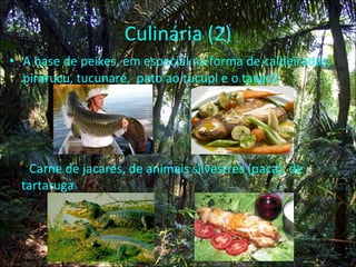 Culinária (2) A base de peixes, em especial na forma de caldeiradas: pirarucu, tucunaré,  pato ao tucupl e o tacacã Carne de jacarés, de animais silvestres (paca),  de tartaruga 