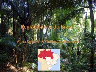 Região Norte do Brasil Anna Schütze & Guillaume Bourdais 