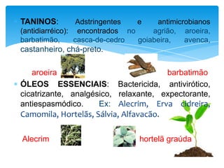 TANINOS:          Adstringentes e    antimicrobianos
(antidiarréico): encontrados no     agrião, aroeira,
barbatimão,      casca-de-cedro goiabeira,   avenca,
castanheiro, chá-preto.

   aroeira                            barbatimão
ÓLEOS ESSENCIAIS: Bactericida, antivirótico,
cicatrizante, analgésico, relaxante, expectorante,
antiespasmódico.     Ex: Alecrim, Erva cidreira,
Camomila, Hortelãs, Sálvia, Alfavacão.

Alecrim                         hortelã graúda
 