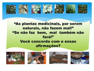 “As plantas medicinais, por serem
     naturais, não fazem mal!”
“Se não faz bem, mal também não
                fará!”
    Você concorda com e essas
            afirmações?
 