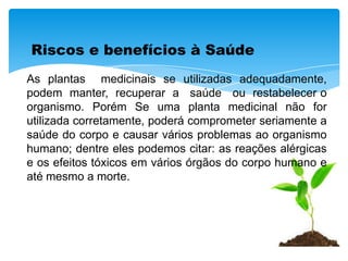 Riscos e benefícios à Saúde
As plantas medicinais se utilizadas adequadamente,
podem manter, recuperar a saúde ou restabelecer o
organismo. Porém Se uma planta medicinal não for
utilizada corretamente, poderá comprometer seriamente a
saúde do corpo e causar vários problemas ao organismo
humano; dentre eles podemos citar: as reações alérgicas
e os efeitos tóxicos em vários órgãos do corpo humano e
até mesmo a morte.
 