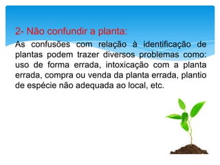 2- Não confundir a planta:
As confusões com relação à identificação de
plantas podem trazer diversos problemas como:
uso de forma errada, intoxicação com a planta
errada, compra ou venda da planta errada, plantio
de espécie não adequada ao local, etc.
 