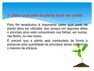 3- Saber qual parte da planta dever ser usada:

Para fim terapêutico é importante saber qual parte da
planta deve ser utilizada, isso porque em algumas delas
o princípio ativo está concentrado nas folhas, em outras,
nas flores, ou nas raízes.
É preciso que a planta seja manipulada de forma a
preservar esta quantidade de princípios ativos conferindo
o máximo de eficácia.
 