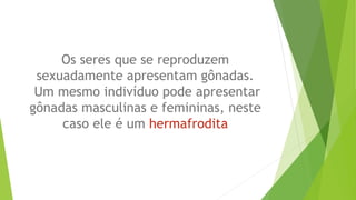 Os seres que se reproduzem
sexuadamente apresentam gônadas.
Um mesmo indivíduo pode apresentar
gônadas masculinas e femininas, neste
caso ele é um hermafrodita
 