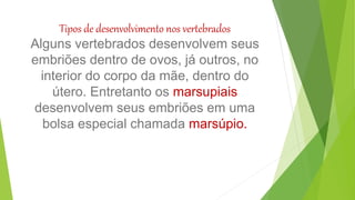 Tipos de desenvolvimento nos vertebrados
Alguns vertebrados desenvolvem seus
embriões dentro de ovos, já outros, no
interior do corpo da mãe, dentro do
útero. Entretanto os marsupiais
desenvolvem seus embriões em uma
bolsa especial chamada marsúpio.
 