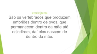 ovovivíparos
São os vertebrados que produzem
embriões dentro de ovos, que
permanecem dentro da mãe até
eclodirem, daí eles nascem de
dentro da mãe.
 