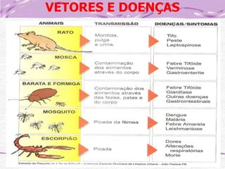 VETORES E DOENÇAS

 