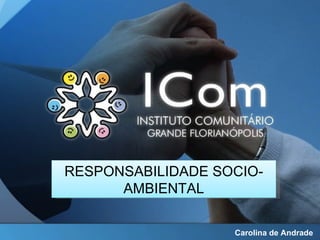 RESPONSABILIDADE SOCIO-
      AMBIENTAL

                   Carolina de Andrade
 