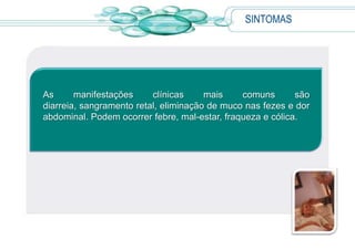 SINTOMAS
As manifestações clínicas mais comuns são
diarreia, sangramento retal, eliminação de muco nas fezes e dor
abdominal. Podem ocorrer febre, mal-estar, fraqueza e cólica.
 