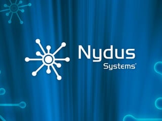 Nydus Systems Informática S/C Ltda 