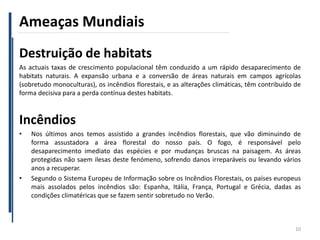 Ameaças Mundiais
Destruição de habitats
As actuais taxas de crescimento populacional têm conduzido a um rápido desaparecimento de
habitats naturais. A expansão urbana e a conversão de áreas naturais em campos agrícolas
(sobretudo monoculturas), os incêndios florestais, e as alterações climáticas, têm contribuído de
forma decisiva para a perda contínua destes habitats.
Incêndios
• Nos últimos anos temos assistido a grandes incêndios florestais, que vão diminuindo de
forma assustadora a área florestal do nosso país. O fogo, é responsável pelo
desaparecimento imediato das espécies e por mudanças bruscas na paisagem. As áreas
protegidas não saem ilesas deste fenómeno, sofrendo danos irreparáveis ou levando vários
anos a recuperar.
• Segundo o Sistema Europeu de Informação sobre os Incêndios Florestais, os países europeus
mais assolados pelos incêndios são: Espanha, Itália, França, Portugal e Grécia, dadas as
condições climatéricas que se fazem sentir sobretudo no Verão.
10
 
