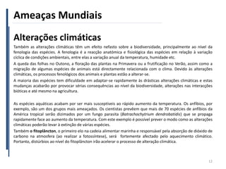Ameaças Mundiais
Alterações climáticas
Também as alterações climáticas têm um efeito nefasto sobre a biodiversidade, principalmente ao nível da
fenologia das espécies. A fenologia é a reacção anatómica e fisiológica das espécies em relação à variação
cíclica de condições ambientais, entre elas a variação anual da temperatura, humidade etc.
A queda das folhas no Outono, a floração das plantas na Primavera ou a frutificação no Verão, assim como a
migração de algumas espécies de animais está directamente relacionada com o clima. Devido às alterações
climáticas, os processos fenológicos dos animais e plantas estão a alterar-se.
A maioria das espécies tem dificuldade em adaptar-se rapidamente às drásticas alterações climáticas e estas
mudanças acabarão por provocar sérias consequências ao nível da biodiversidade, alterações nas interacções
bióticas e até mesmo na agricultura.
As espécies aquáticas acabam por ser mais susceptíveis ao rápido aumento da temperatura. Os anfíbios, por
exemplo, são um dos grupos mais ameaçados. Os cientistas prevêem que mais de 70 espécies de anfíbios da
América tropical serão dizimados por um fungo parasita (Batrachochytrium dendrobatidis) que se propaga
rapidamente face ao aumento da temperatura. Com este exemplo é possível prever o modo como as alterações
climáticas poderão levar à extinção de várias espécies.
Também o fitoplâncton, o primeiro elo na cadeia alimentar marinha e responsável pela absorção de dióxido de
carbono na atmosfera (ao realizar a fotossíntese), será fortemente afectado pelo aquecimento climático.
Portanto, distúrbios ao nível do fitoplâncton irão acelerar o processo de alteração climática.
12
 