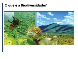 O que é a Biodiversidade?
2
 