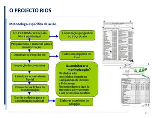 O PROJECTO RIOS
Metodologia específica de acção
21
 
