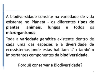 A biodiversidade consiste na variedade de vida
existente no Planeta - os diferentes tipos de
plantas, animais, fungos e todos os
microrganismos.
Toda a variedade genética existente dentro de
cada uma das espécies e a diversidade de
ecossistemas onde estas habitam são também
importantes componentes da biodiversidade.
3
 