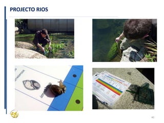 40
PROJECTO RIOS
 