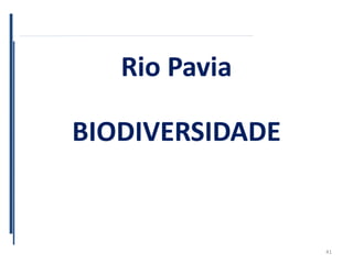 Rio Pavia
BIODIVERSIDADE
41
 