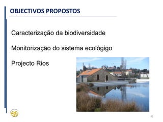 42
OBJECTIVOS PROPOSTOS
Caracterização da biodiversidade
Monitorização do sistema ecológigo
Projecto Rios
 
