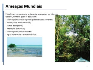 Ameaças Mundiais
Estes locais encontram-se seriamente ameaçados por diversos
factores, entre os quais se destacam:
- Sobreexploração das espécies para consumo alimentar;
- Produção de medicamentos;
- Tráfico de espécies;
- Alterações climáticas;
- Sobreexploração das florestas;
- Agricultura intensa e monoculturas.
8
 