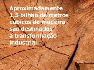Aproximadamente
1,5 bilhão de metros
cúbicos de madeira
são destinados
à transformação
industrial:
 