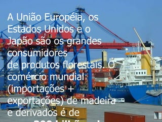 A União Européia, os
Estados Unidos e o
Japão são os grandes
consumidores
de produtos florestais. O
comércio mundial
(importações +
exportações) de madeira
e derivados é de
 