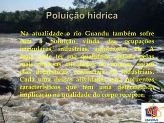 Na atualidade o rio Guandu também sofre 
com a poluição vinda das ocupações 
irregulares, industrias, agrotóxicos, etc. A 
água pode ter sua qualidade afetada pelas 
mais diversas atividades do homem, sejam 
elas domésticas, comerciais ou industriais. 
Cada uma dessas atividades gera poluentes 
característicos que têm uma determinada 
implicação na qualidade do corpo receptor. 
 