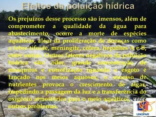 Os prejuízos desse processo são imensos, além de 
comprometer a qualidade da água para 
abastecimento, ocorre a morte de espécies 
aquáticas, além da proliferação de doenças como 
a febre tifoide, meningite, cólera, hepatites A e B, 
entre outras. Outros fatores negativos da poluição 
hídrica são: odor, grande concentração de 
mosquitos e eutrofização (quando o esgoto é 
lançado nos meios aquosos, o excesso de 
nutrientes provoca o crescimento de algas, 
impedindo a passagem da luz e a transferência do 
oxigênio atmosférico para o meio aquático), entre 
outros problemas. 
 