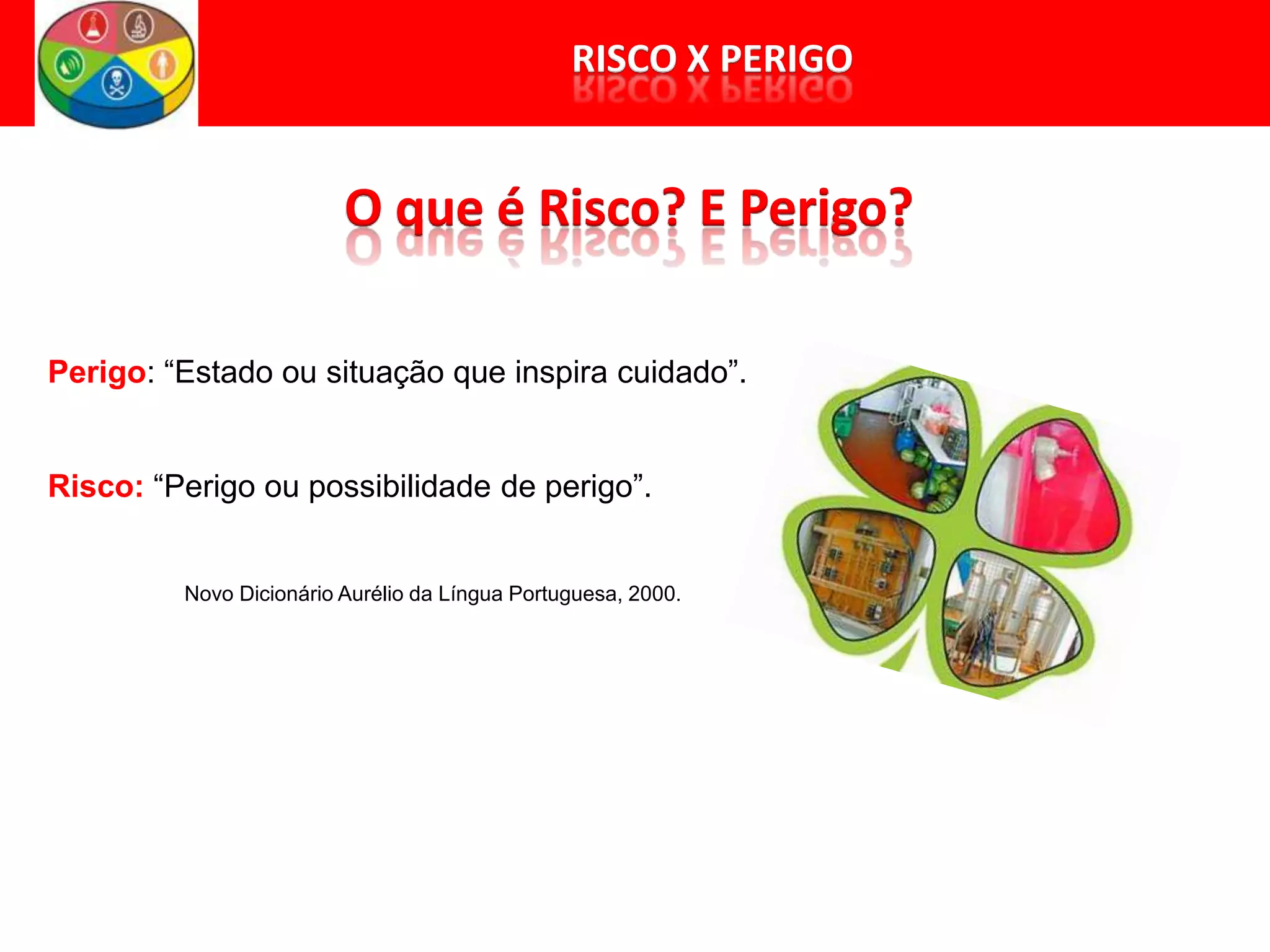 Perigo: “Estado ou situação que inspira cuidado”.
Risco: “Perigo ou possibilidade de perigo”.
Novo Dicionário Aurélio da Língua Portuguesa, 2000.
 