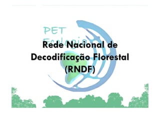Rede Nacional de
Decodificação Florestal
        (RNDF)
 
